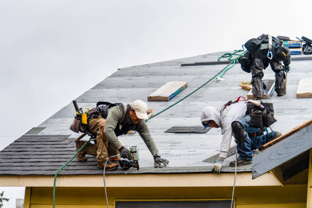 Professional Gutter Installation technician working in Carleton, NE